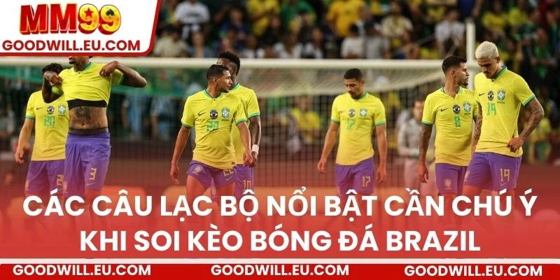 Các câu lạc bộ nổi bật cần chú ý khi soi kèo bóng đá Brazil