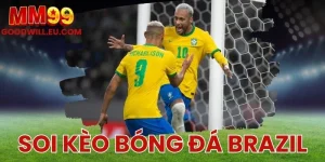 Soi kèo bóng đá Brazil MM99 - Cập nhật tỷ lệ cược mới nhất