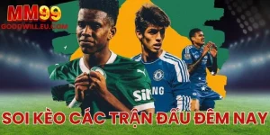 Soi kèo các trận đấu đêm nay MM99 - Lựa chọn cược thông minh