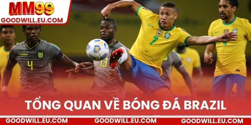 Tổng quan về bóng đá Brazil