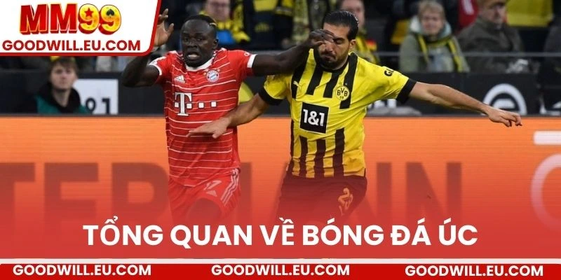 Tổng quan về bóng đá Úc